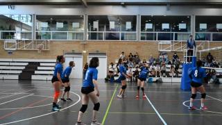 Finales Voleibol