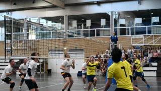 Finales Voleibol