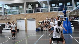 Finales Voleibol