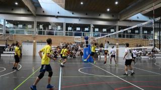 Finales Voleibol