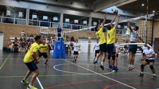 Finales Voleibol