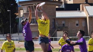 Ultimate Frisbee 