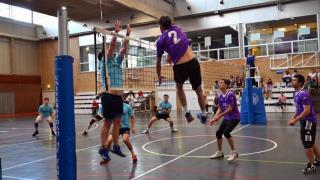 Final Voleibol Educación - EINA 