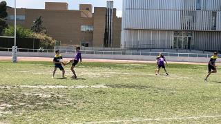 Final Ultimate Frisbee