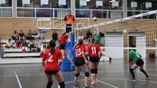 Final Voleibol Veterinaria-Derecho