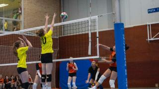 FINAL VOLEIBOL FEMENINO 2024/25